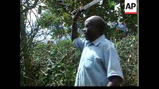 UGANDA: DOOMSDAY CULT TRAGEDY: MEMORIAL