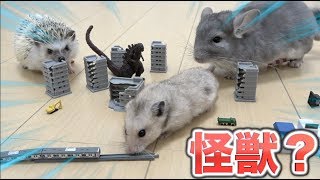 【ガチャ】ジオラマでペット3匹遊ばせたら怪獣になった！！