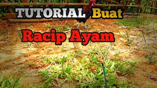 tutorial buat racip ayam