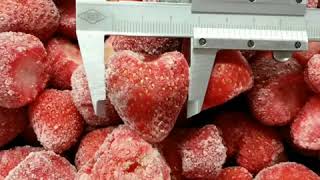 IQF Frozen Strawberry Supplier in China- Xiamen Sharp Dragon