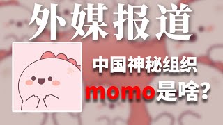 外媒也好奇，中国神秘组织momo大军 | Albert英语研习社 #小红书 #momo #网名