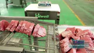 Hiwell--Intelligent portion cutter machine Cut28 beef cut