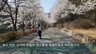 [영상기자단]계곡물 소리와 잘 어울리는 벚꽃명소 거열 산책길_조진휘