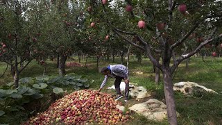 Η Πορτογαλία υποφέρει από ακραία ξηρασία – Σε απόγνωση αγρότες και γεωργοί