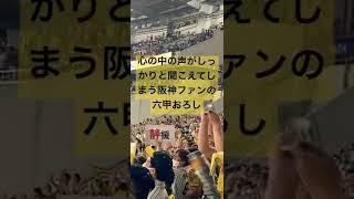 【六甲おろし】心の中の声がしっかりと聞こえてしまっている阪神ファンによる六甲おろし＃shorts