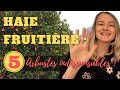 Haie fruitière : 5 arbustes indispensables !