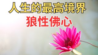 人生的最高境界：狼性佛心；世人所犯最大錯誤：太著相