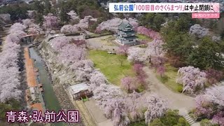 【令和のサクラ】弘前公園「１００回目のさくらまつり」は中止閉鎖に