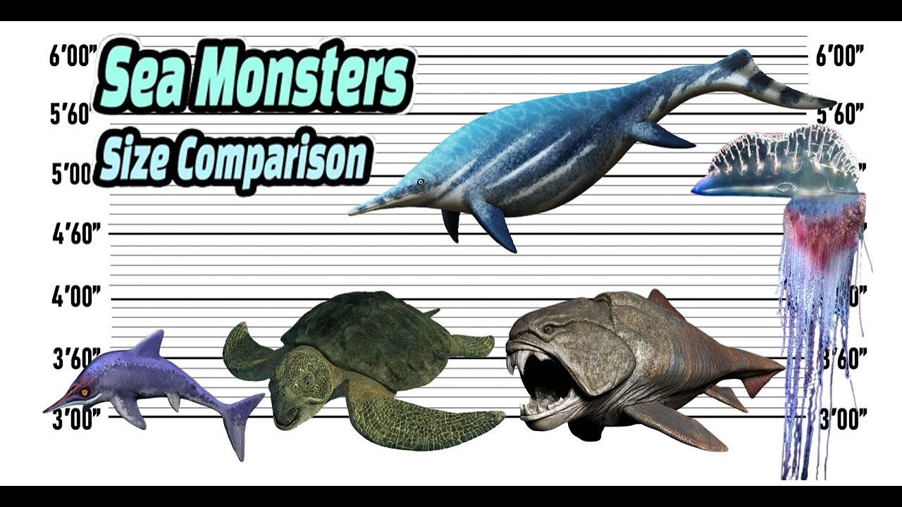 Sea Monsters Size Comparison | The Biggest Characters Of Sea Monsters ...