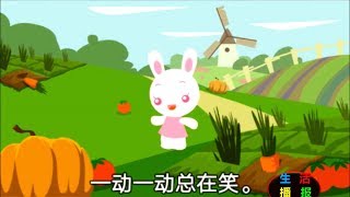 爱上学习 《小白兔》一动一动总在笑