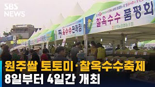 원주쌀 토토미 · 찰옥수수축제…8일부터 4일간 개최 / SBS