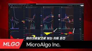 MicroAlgo Inc. (MLGO) 마이크로알고 차트 운전. 당일 100% 이상 상승 종목을 사진과 영상으로 증명합니다.