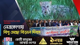 নেত্রকোণায় পালিত হল বিশ্ব মেছো বিড়াল দিবস | Fishing Cat Day Netrokona | @bdnews24