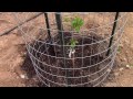 Desert Backyard Permaculture Design Part 5: Irrigation Challenges Desert Backyard Permaculture Design Part 5: Irrigation Challenges