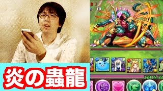 無課金編成【炎の虫龍】超地獄級　ジークフリートｘ青ソニ　パズドラ　じゃじゃーん菊池