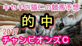 チャンピオンズカップ2017 的中 キセキの猫仁　ゴールドドリーム テイエムジンソク