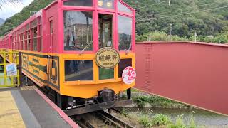 京都・嵯峨嵐山トロッコ列車到着