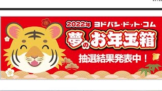 【ヨドバシカメラ毎年恒例】夢のお年玉箱抽選から結果発表まで【毎年ハズレ更新中】