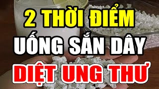 2 Thời Điểm UỐNG BỘT SẮN DÂY Diệt Sạch TB UNG THƯ, Càng Uống Càng Bổ THỌ 130 TUỔI