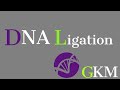 DNA Ligation, ligase, joining  | ربط الدنا