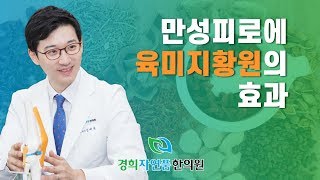 부모님선물 육미지황원은 만성피로에 어떻게 좋은가요? [경희자연품한의원]