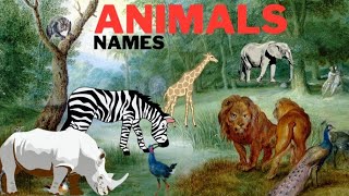 Wild Animals Names | Animals for Kids | Animal Vocabulary With Pictures For Kindergarden
