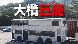 大欖隧道丹尼士11米巨龍HC2446 (AD360)小紀錄10/7/2023 \u0026 25/9/2021 Dennis Dragon 11M Tai Lam Tunnel #kmb  #dennis