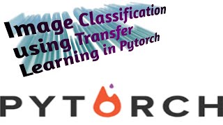 Image Classification using Transfer Learning in Pytorch