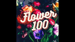 Flower100 promo