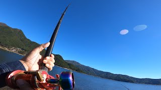 [河口湖]“鯉釣り“うわあぁぁあー‼︎え‼︎ “気配感じる”