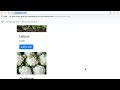 Angular | Beginner to Pro #330 - Displaying All the Products [By Mosh Hamedani]