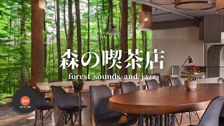 環境音＋JAZZ やさしい森の喫茶店 自然環境音 リラックスカフェ CAFE MUSIC 癒しの空間 鳥のさえずり 川のせせらぎ 作業 勉強 - 作業用BGM