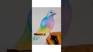 Bird drawing 🕊️❤️‍🔥|| #art #drawing #ytshorts #howtodraw