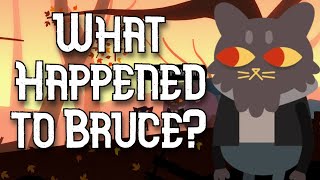 What Happened to Bruce? Night in the Woods Theory and Analysis