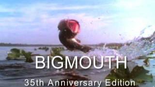 Bigmouth 35 Promo 1  30