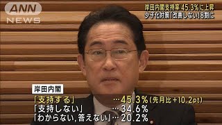 岸田内閣の支持率　先月より10.2ポイント上昇、45.3％に　ANN世論調査(2023年4月17日)