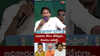 Dammu or Babu to contest alone: ​​CM Jagan Memantha Siddham Meeting at Madanapalle | Ntv