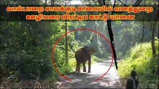 The Elephant's Chase!!! வால்பாறை சாலக்குடி சாலையில் வனத்துறை ஊழியரை விரட்டிய காட்டு யானை