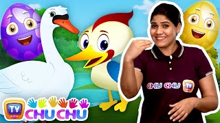 वन्यजीव पक्षी जादुई अंडे (Wildlife Birds Magical Surprise Eggs) - ChuChu TV Hindi ISL Surprise Eggs