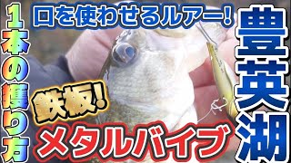 【豊英湖】バスがいるのに釣れない！そんな時に口を使わせるのがメタルバイブ！ #DAIWA #三島湖