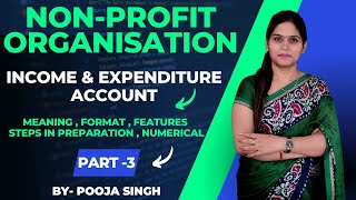 Non Profit Organization | Not for Profit Organization | Income & Expenditure Account | Meaning | NTO