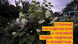 ОПОРЫ ДЛЯ КУСТОВ-ПРОСТО СУПЕР|СКИДКА 10%,ПРОМОКОД В ОПИСАНИИ