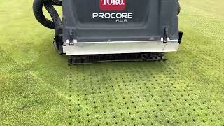 ProCore 648 Solid Tine Root Shear