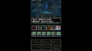 ドラゴンクエストモンスターズスーパーライト「ドラゴンカーニバル（初級）攻略」