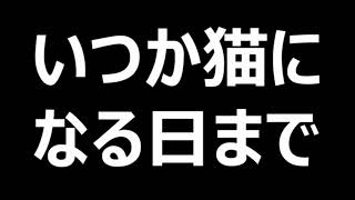 伝説のラジオドラマ『いつか猫になる日まで』第１回