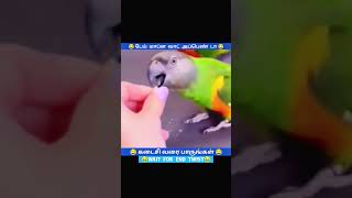 ஒரு வாய் சோத்துக்கு எண்ணலாம் பண்ணுறது #funny #comedy #tamil #animals #birds #shortsfeed #shorts