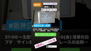 2023.11.12 #京都競馬 #最終レース #ドンカスターカップ #競馬 #サイン競馬 #最終レースの鬼 #阪神タイガース日本一 #浅草の白ブタ #サイン競馬教室