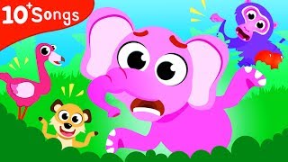 Where Are My Friends! Mr. Elephant Lost Find His Friends | Jungle Animals by Little Angel
