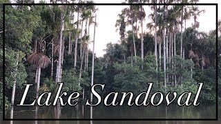 Puerto Maldonado, Peru | The Wildlife of Lake Sandoval