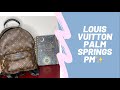 Louis Vuitton Palm Springs PM | 2021